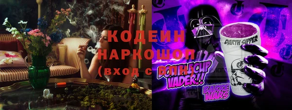 твердый Протвино