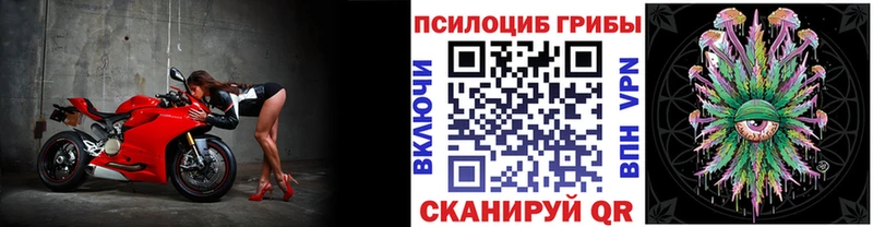 Галлюциногенные грибы Cubensis  сайты даркнета наркотические препараты  Кудрово 